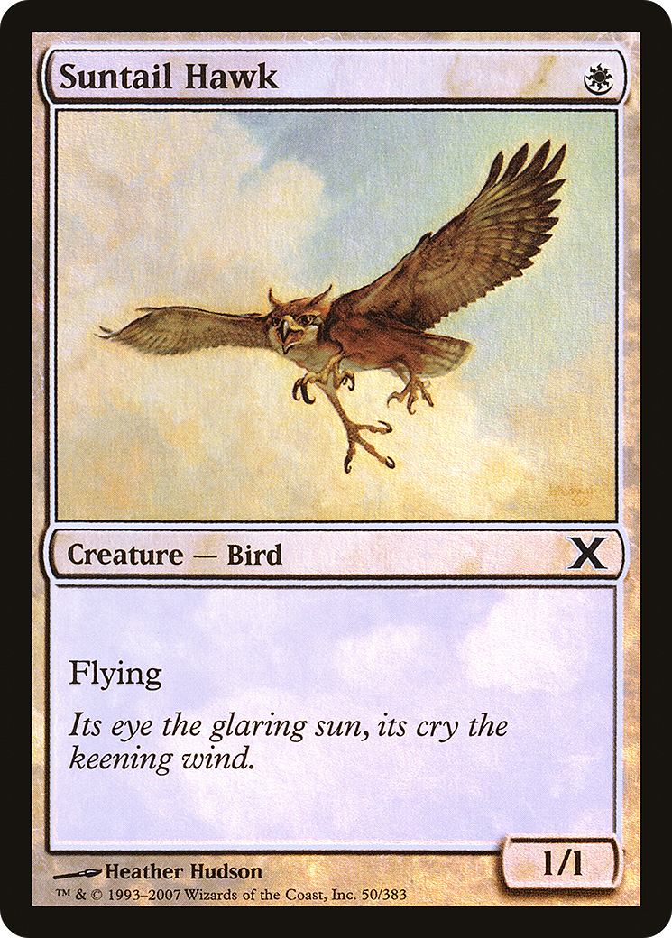 Suntail Hawk (10E-50★) - Tenth Edition Foil