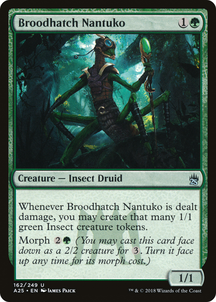 Broodhatch Nantuko (A25-162) - Feuille Masters 25