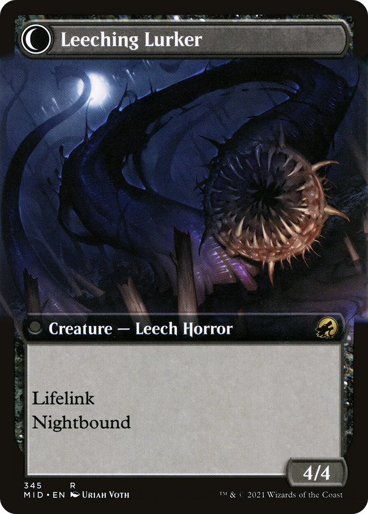 Curse of Leeches (Extended Art) (MID-345) - Innistrad: Midnight Hunt: (Extended Art, Double Faced Transform)