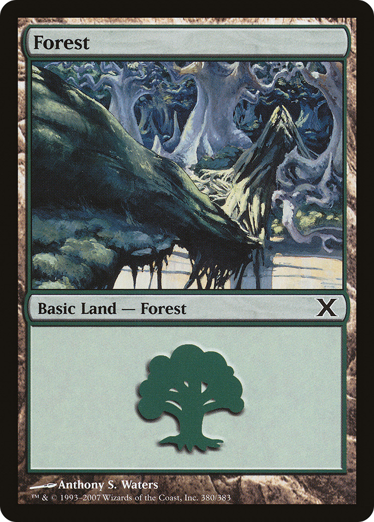 Forest (380) (10E-380) - Tenth Edition Foil