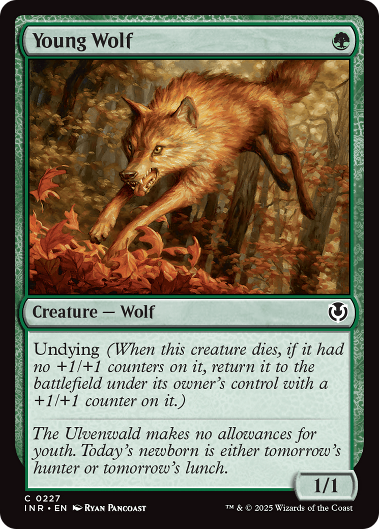 Jeune Loup (INR-227) - Innistrad Remasterisé