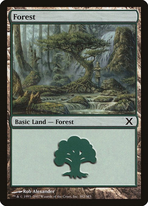 Forest (382)