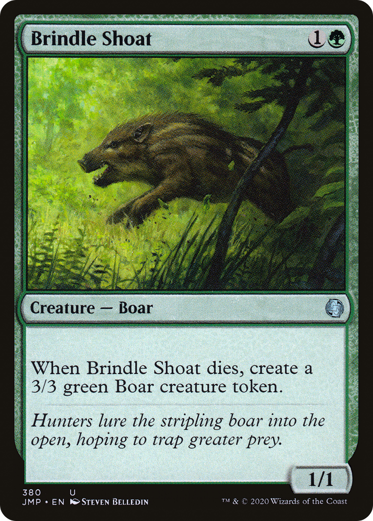 Brindle Shoat (JMP-380) - Bon départ 