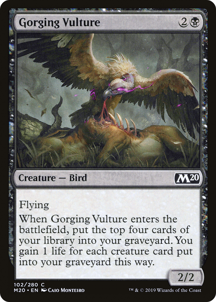 Gorging Vulture (M20-102) - Core Set 2020