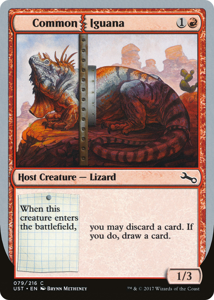 Iguane commun (UST-079) - Feuille instable 