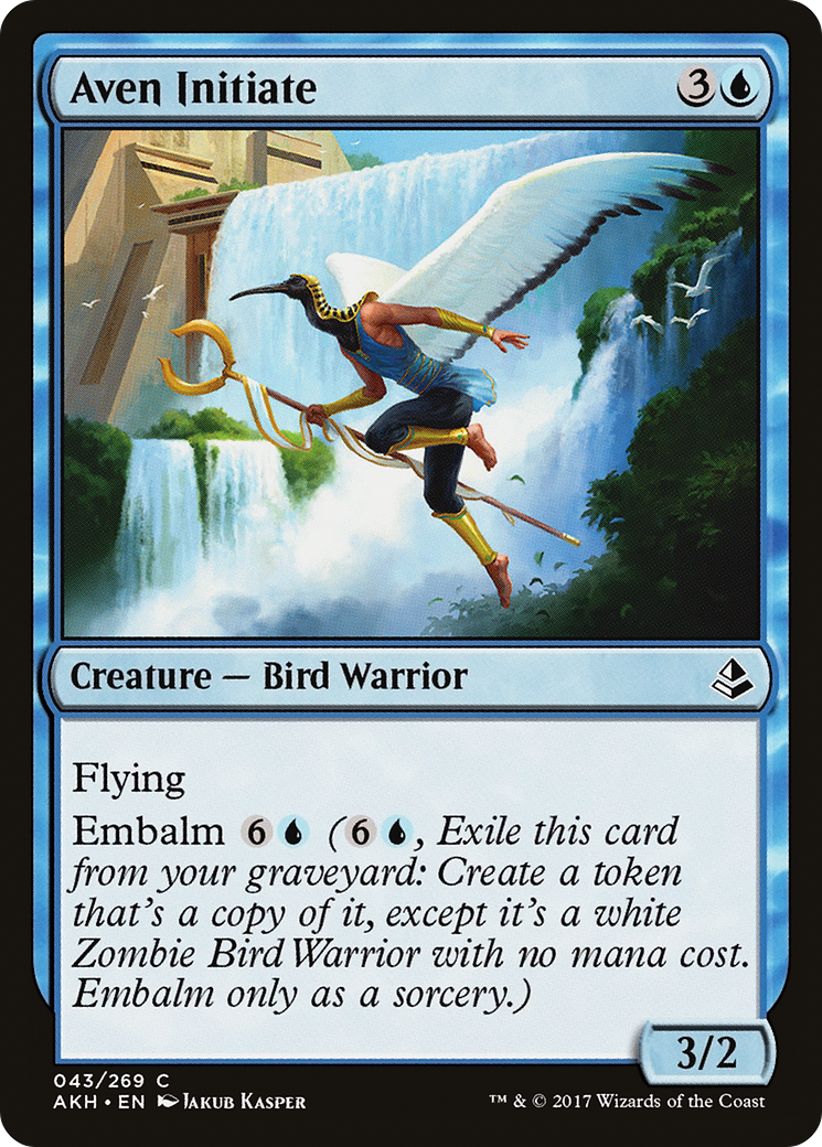 Initié Aven (AKH-043) - Amonkhet