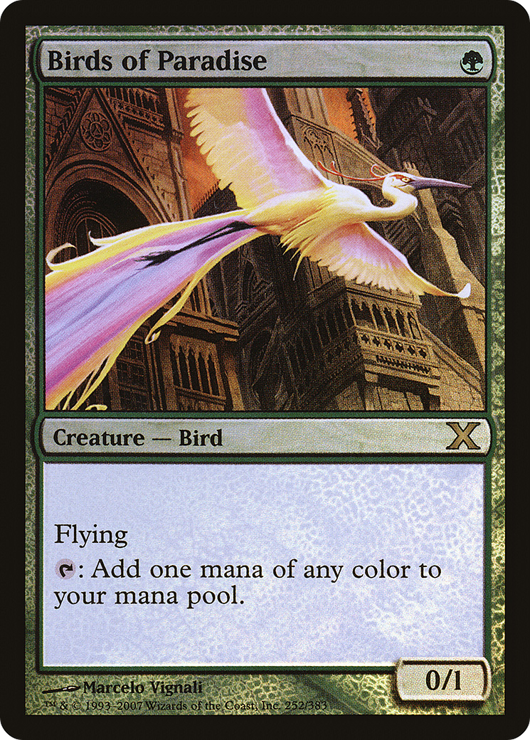 Birds of Paradise (10E-252★) - Tenth Edition Foil