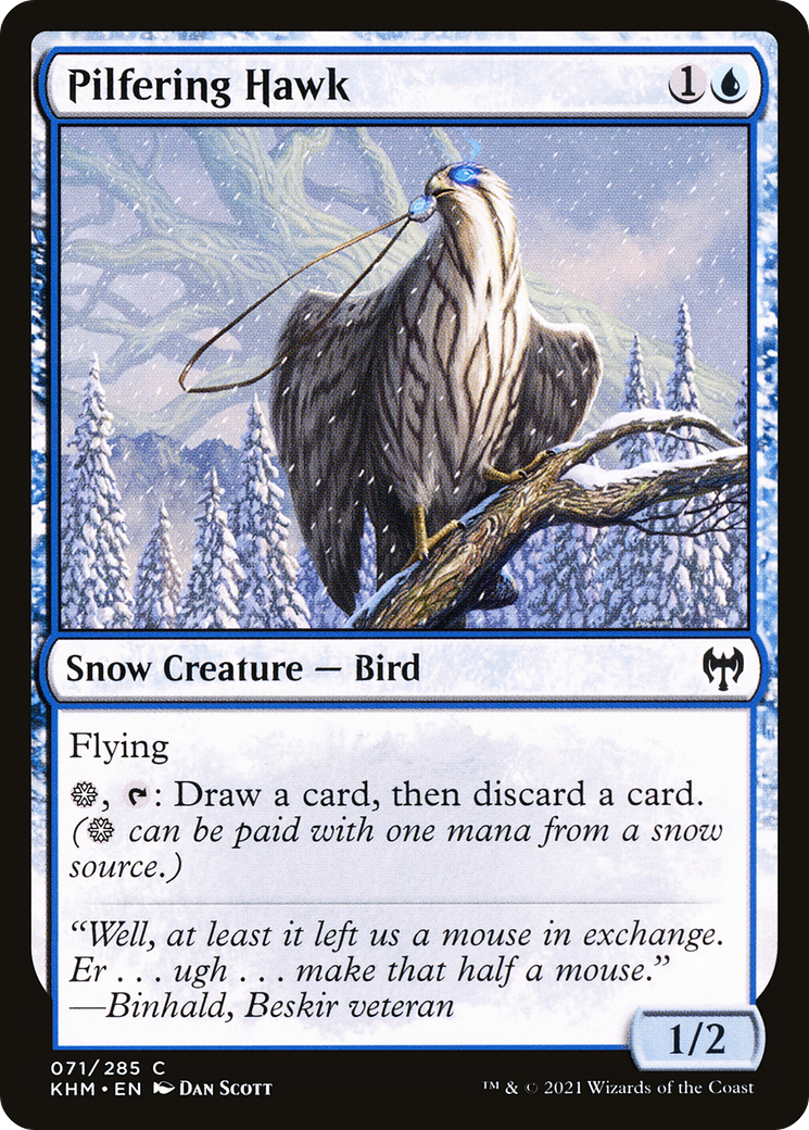 Faucon chapardeur (KHM-071) - Kaldheim : (neige) Foil