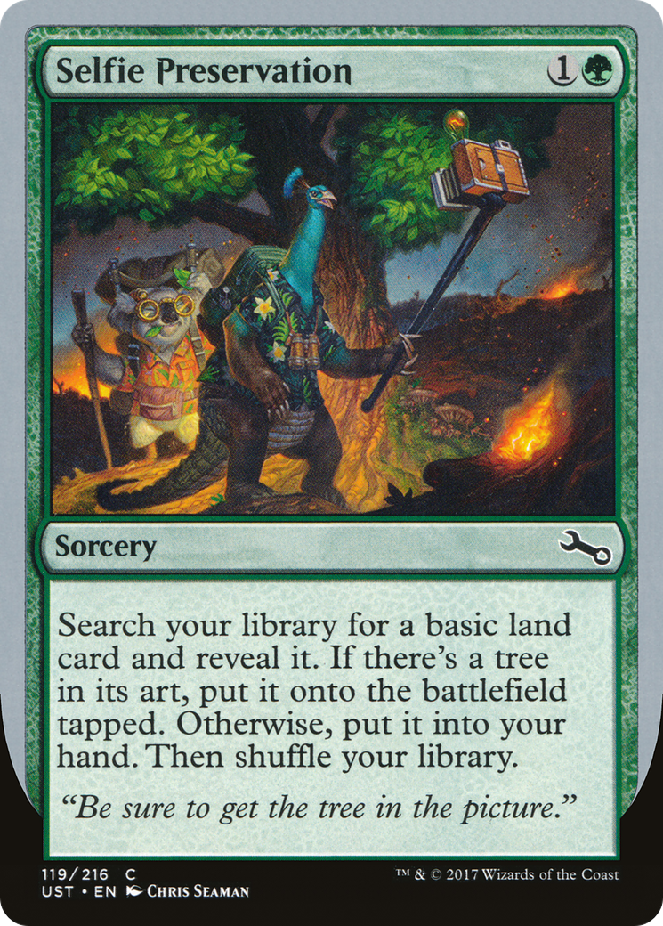 Conservation des selfies (UST-119) - Feuille instable 