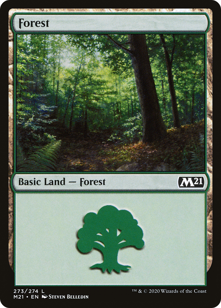 Forêt (M21-273) - Ensemble de base 2021