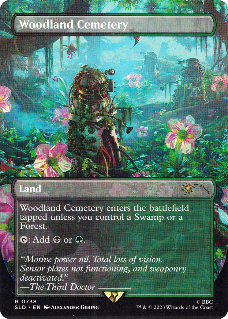 Woodland Cemetery (SLD-738) - Secret Lair Drop: (borderless) (Borderless) Foil