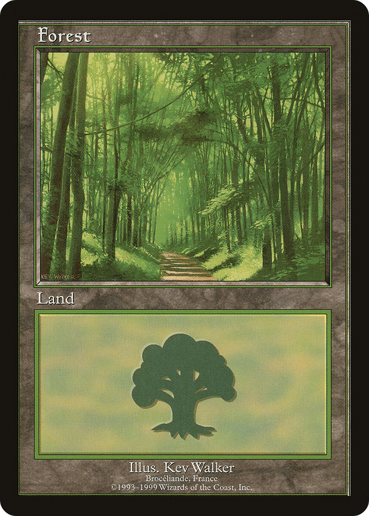 Forest (PELP-006) - European Land Program