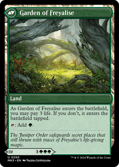 Disciple of Freyalise (MH3-250) - Modern Horizons 3 Foil
