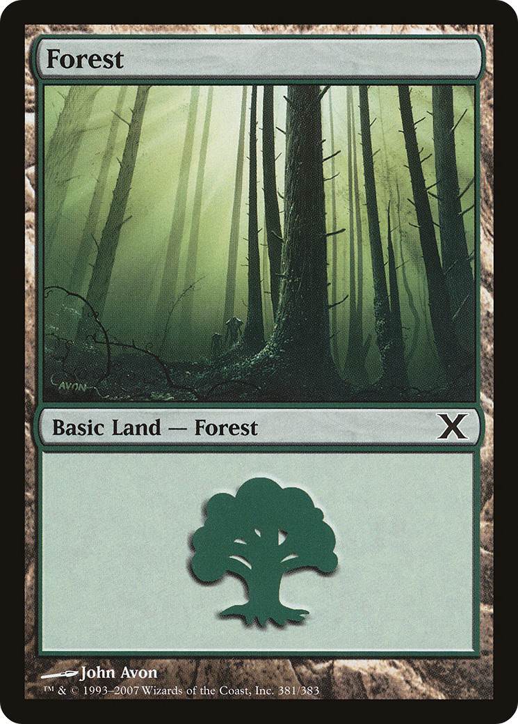 Forest (381) (10E-381) - Tenth Edition Foil