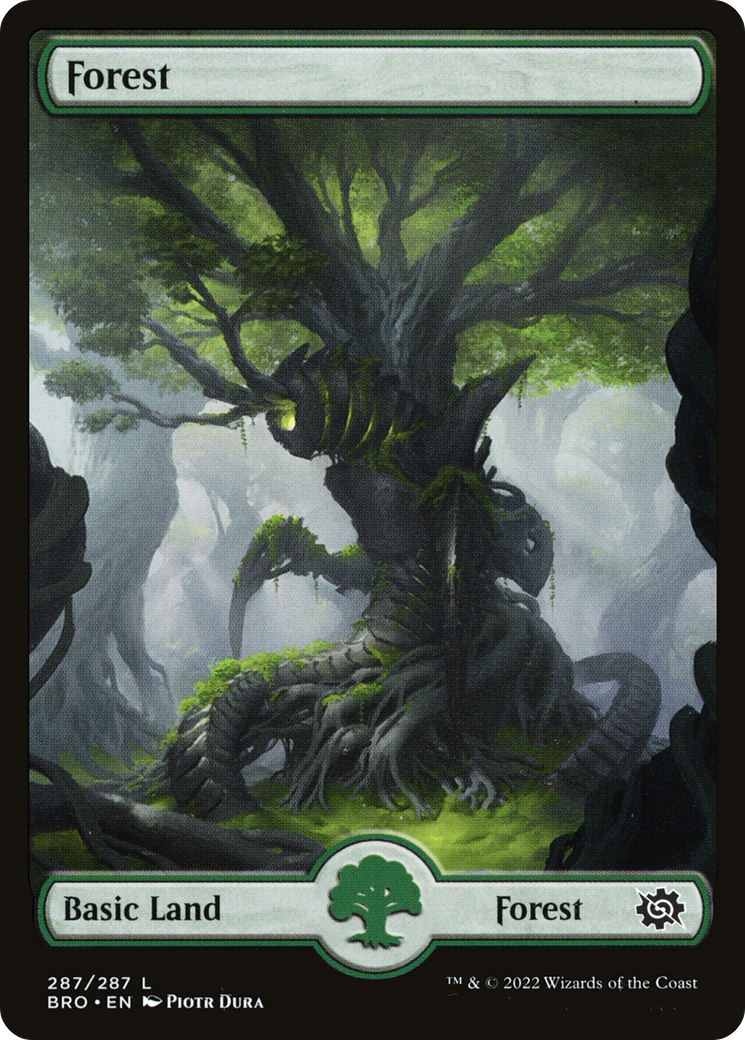 Forest (287) - Full Art (BRO-287) - The Brothers' War Foil