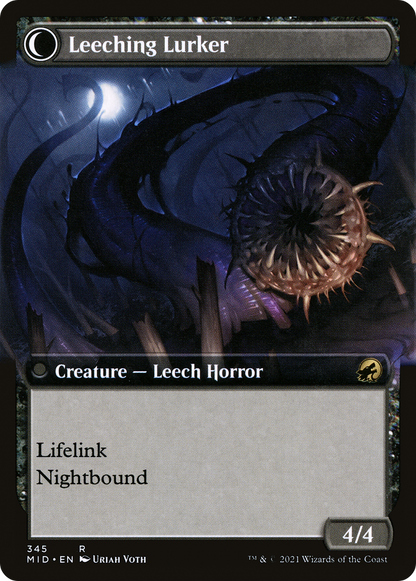 Curse of Leeches (Extended Art) (MID-345) - Innistrad: Midnight Hunt: (Extended Art, Double Faced Transform)