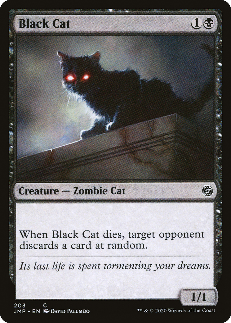 Chat noir (JMP-203) - Démarrage rapide 