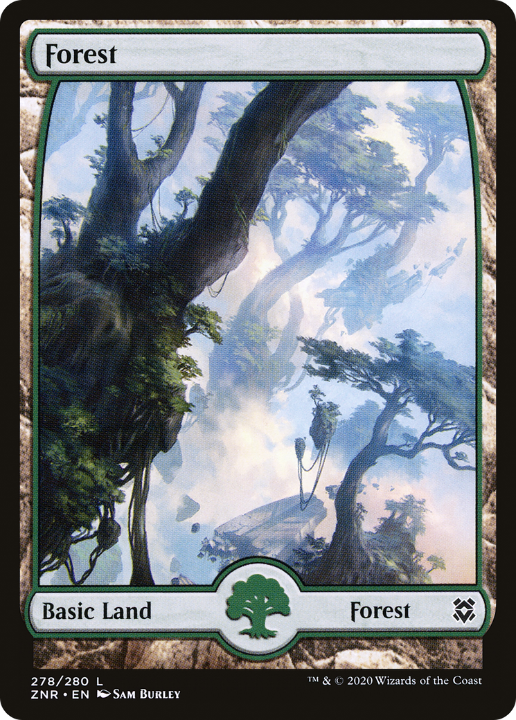 Forest (278) - Full Art (ZNR-278) - Zendikar Rising: (Full Art)
